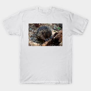 Echidna Sticky Beak T-Shirt